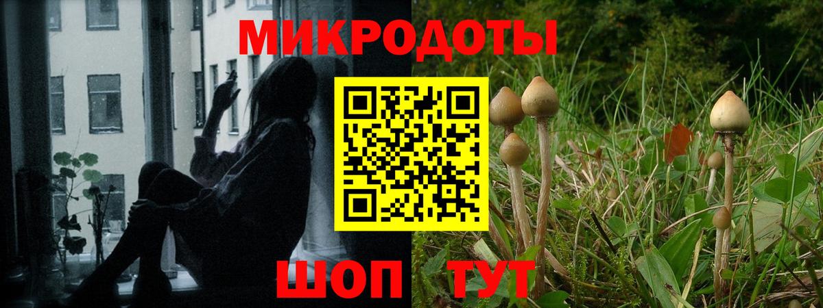 Галлюциногенные грибы Cubensis Донской